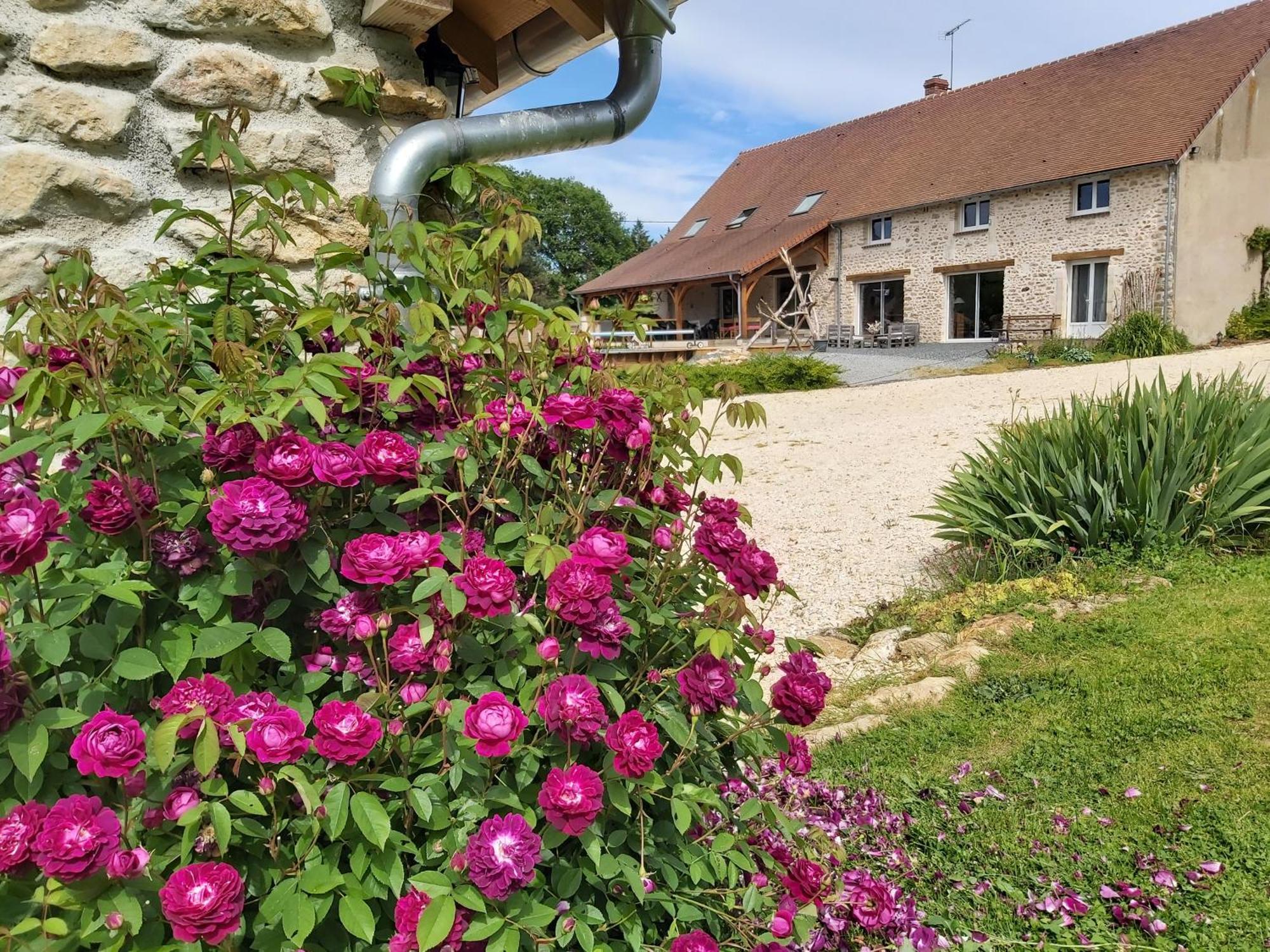 Le Pre De La Rue Bed and Breakfast Bouesse Exteriör bild